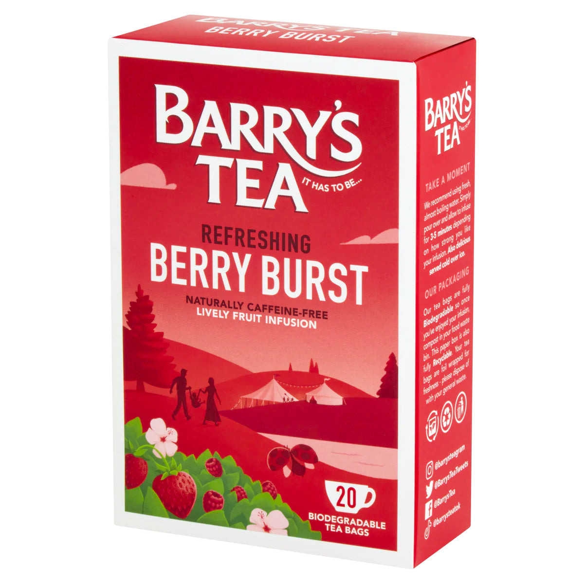 Barrys Berry Burst 20s