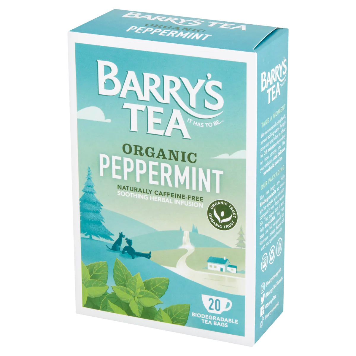 Barrys Organic Peppermint 20s